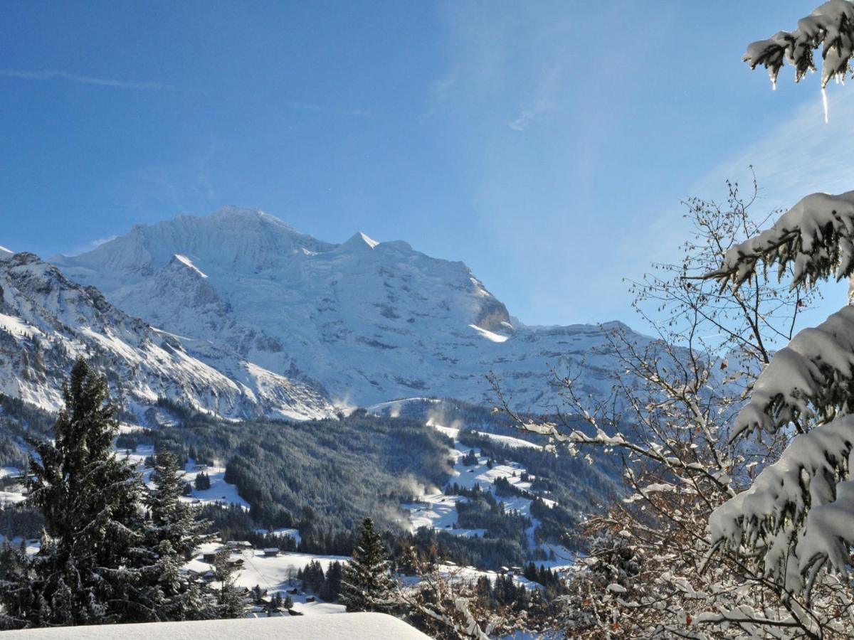 Apartment Central By Interhome Wengen Exterior photo